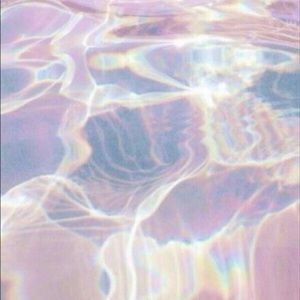 Meet your Posher, Abbie